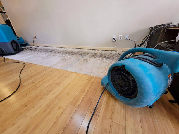 Professional Emergency Water Damage technician working in Richland, PA